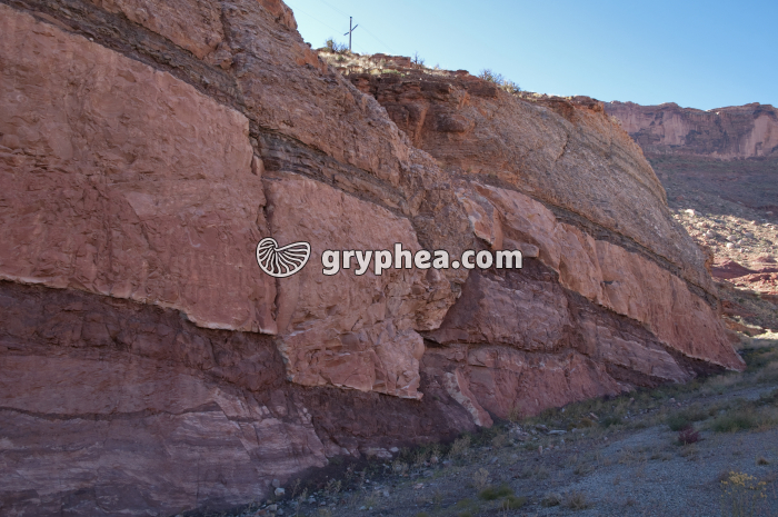 Faille Moab-2 - gryphea.com